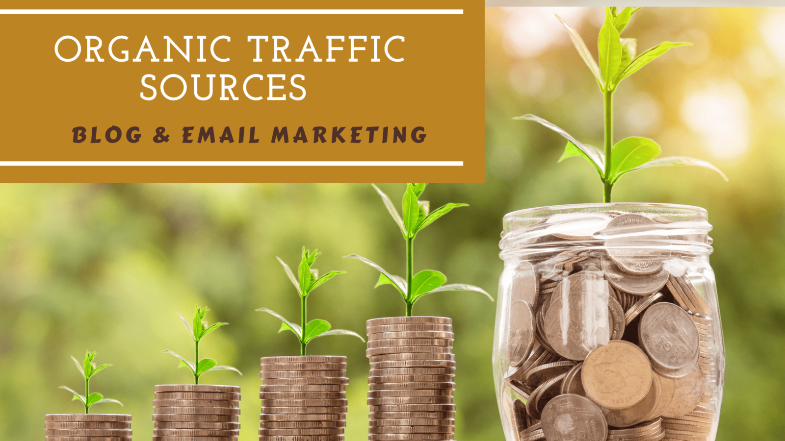 Best Organic Traffic Sources - Blog And Email Marketing